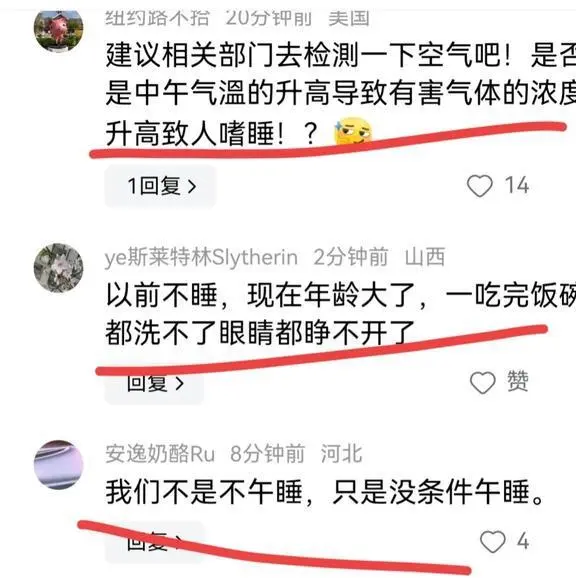 笑不活了！山西午睡文化已经开始不分物种了，网友建议全国统一-第13张图片-益民生活网