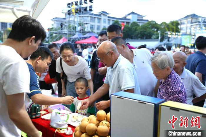 广东连州水晶梨去年总产值超12亿元 成农民致富果