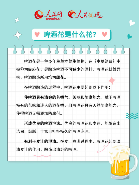 啤酒度数怎么看？啤酒花到底是什么花儿？-第3张图片-益民生活网