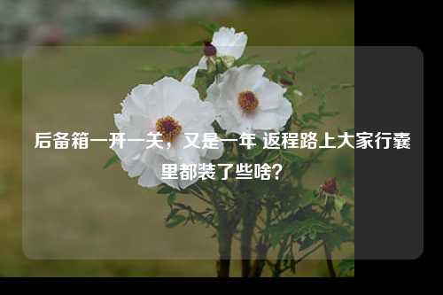 后备箱一开一关，又是一年 返程路上大家行囊里都装了些啥？